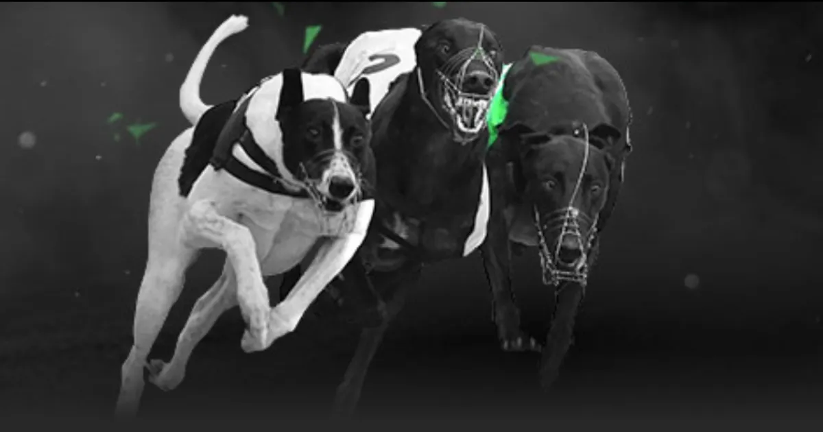 曼城新赛季,惊艳开局,切尔西波切,PG电子官网,PG电子试玩,PG电子模拟器,PG电子平台,PG电子下载